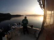 Chasing kings in the San Juan Islands