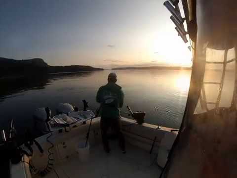 Chasing kings in the San Juan Islands