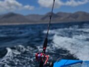 Jigging Rods from West Coast Fishing Tackle