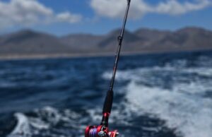 Jigging Rods from West Coast Fishing Tackle