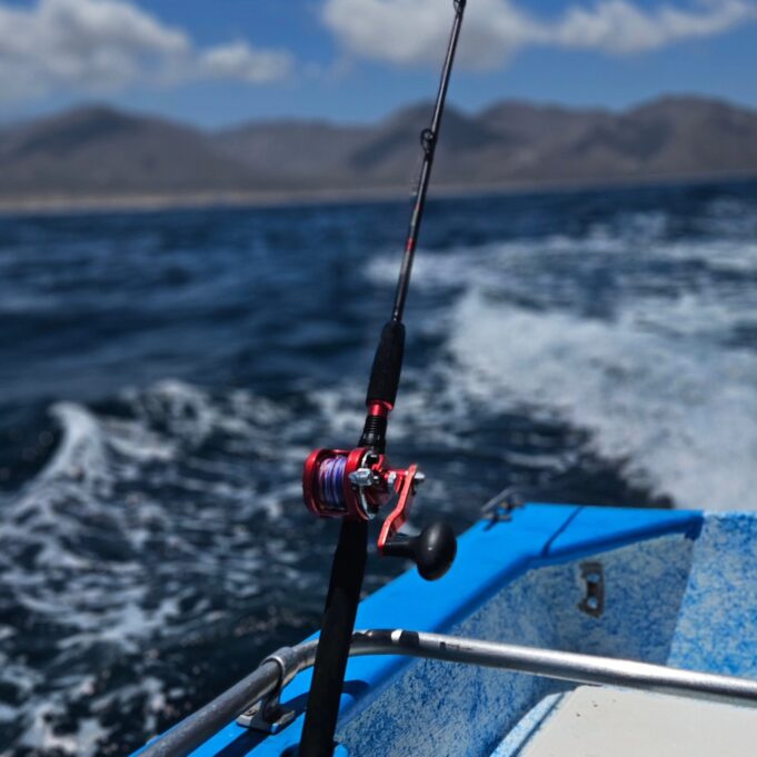 Jigging Rods from West Coast Fishing Tackle