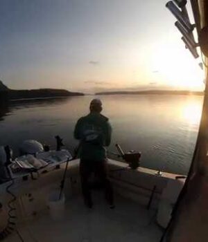 Chasing kings in the San Juan Islands