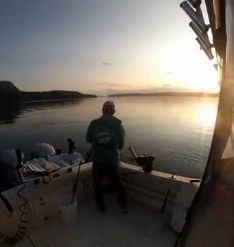 Chasing kings in the San Juan Islands