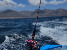 Jigging Rods from West Coast Fishing Tackle