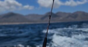 Jigging Rods from West Coast Fishing Tackle