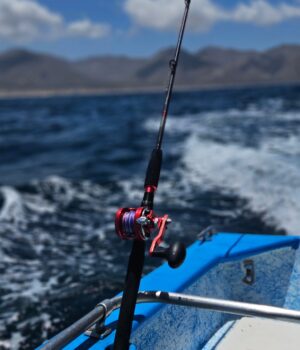 Jigging Rods from West Coast Fishing Tackle