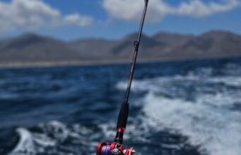 Jigging Rods from West Coast Fishing Tackle